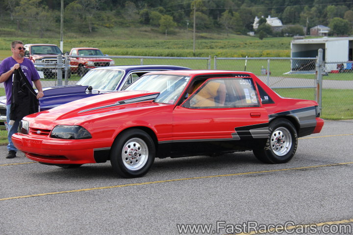 Mustang Mustang